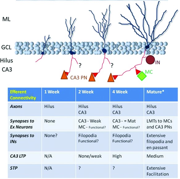 Figure 5.