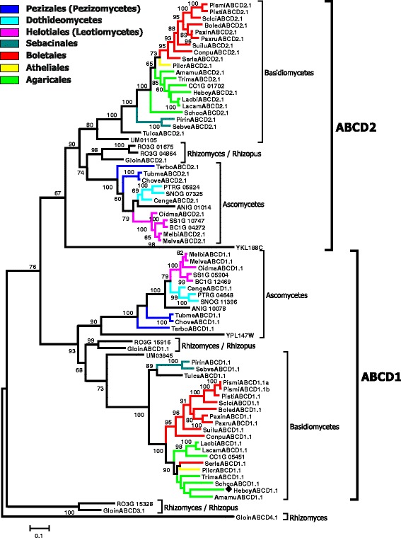 Fig. 3