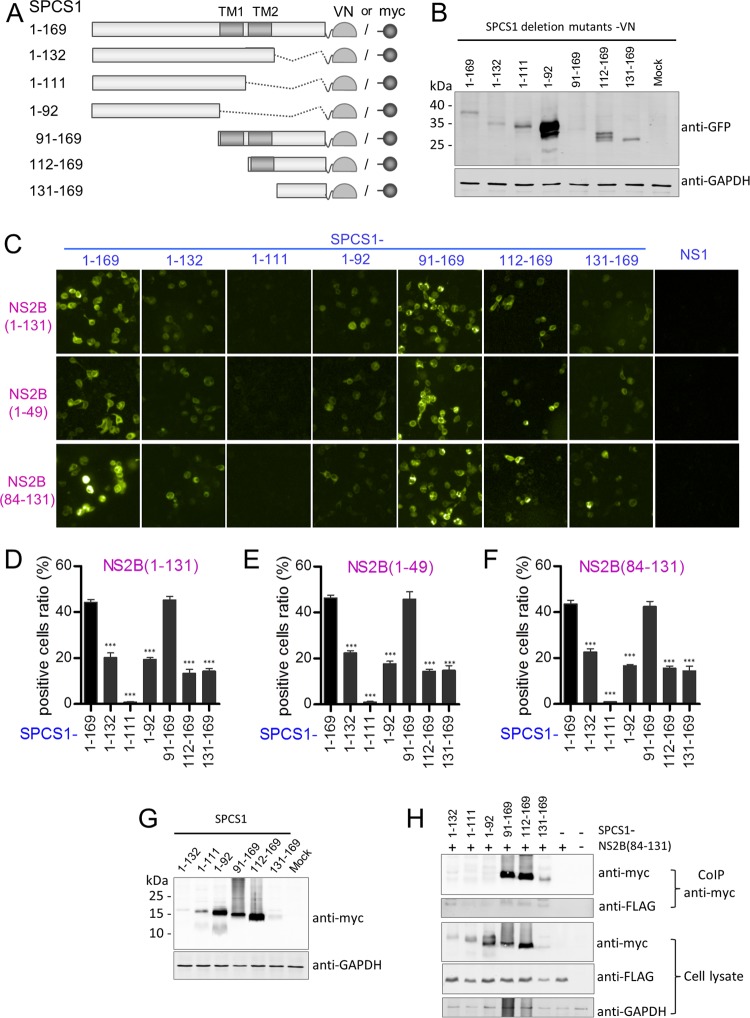 FIG 12