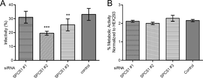 FIG 1