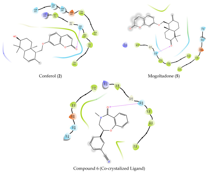 Figure 6