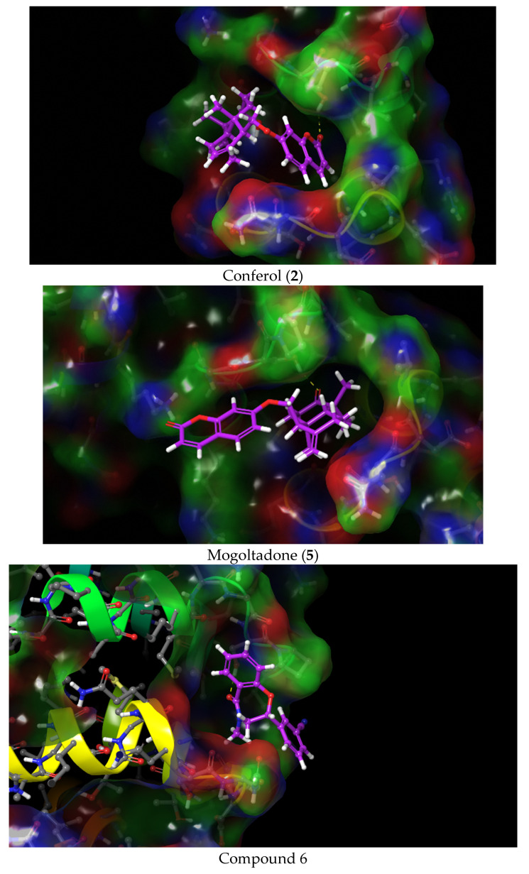 Figure 7