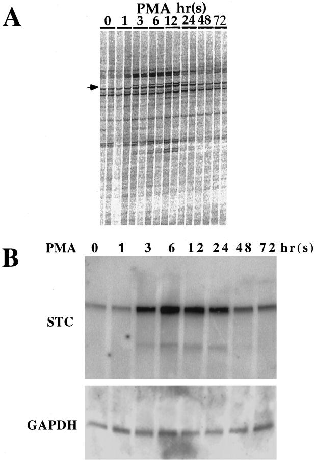 Figure 1.