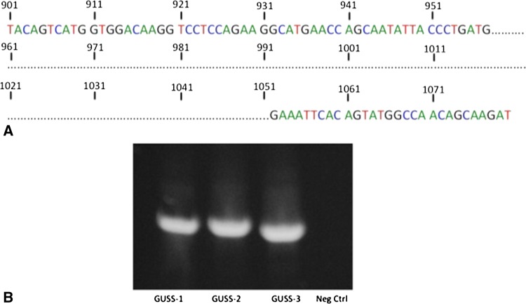 Fig. 3A–B