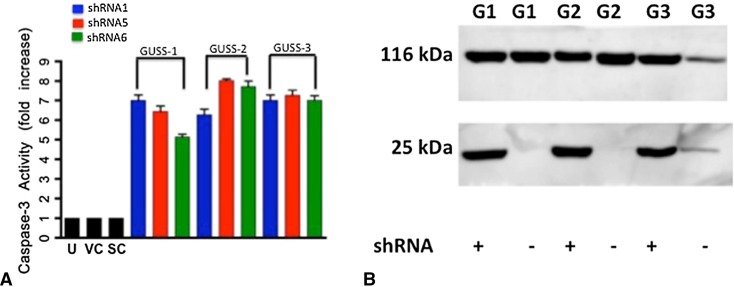 Fig. 6A–B