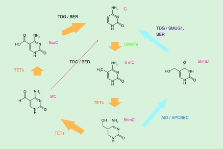 Figure 2. 