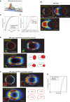 Fig. 8.