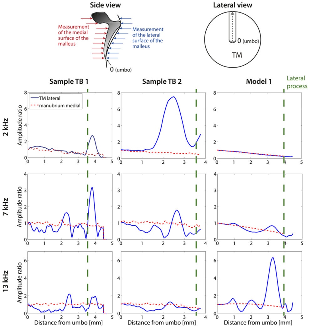 Fig. 10.