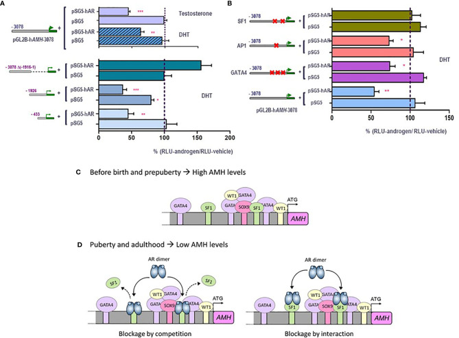 Figure 4