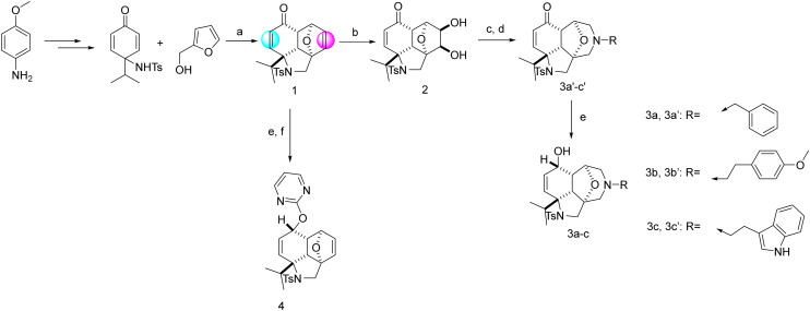 Scheme 1