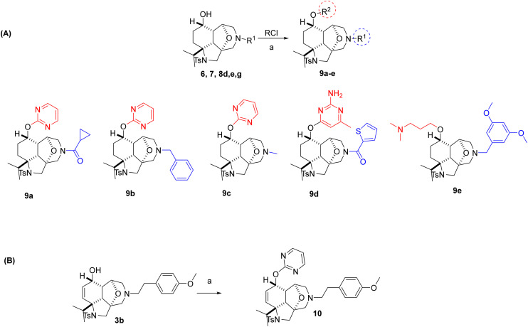 Scheme 3