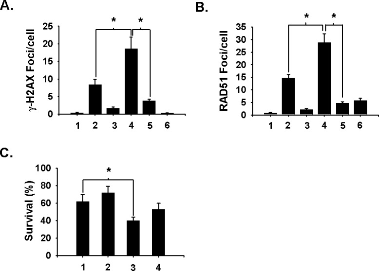 Fig 5