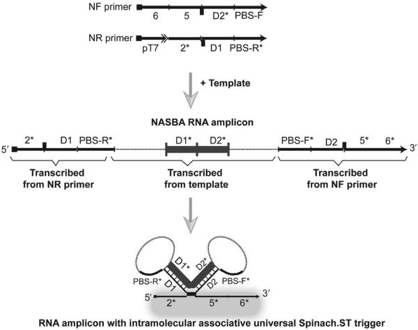 Figure 9