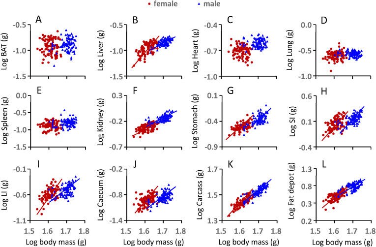 Figure 4