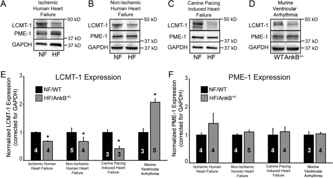 FIGURE 10.