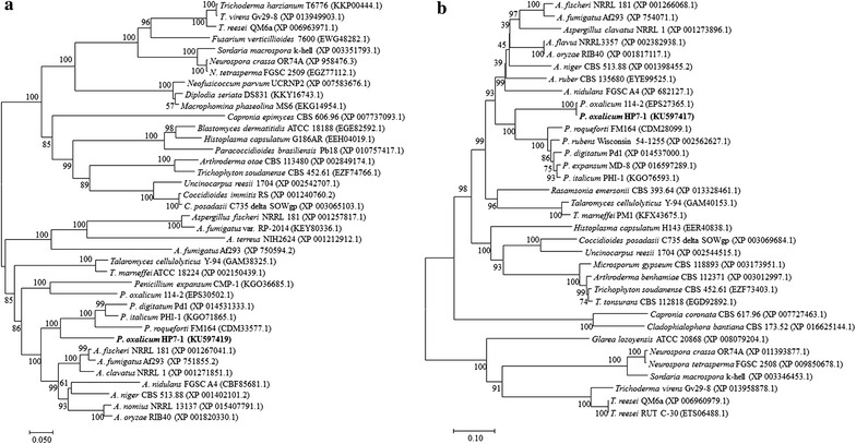 Fig. 6