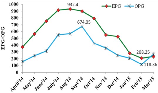 Figure-1