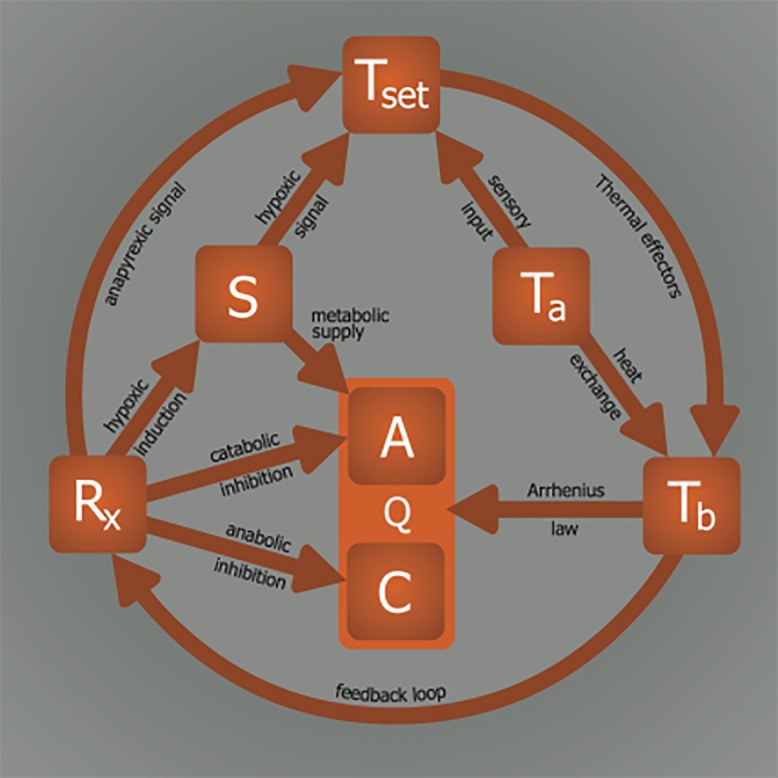 Figure 11.