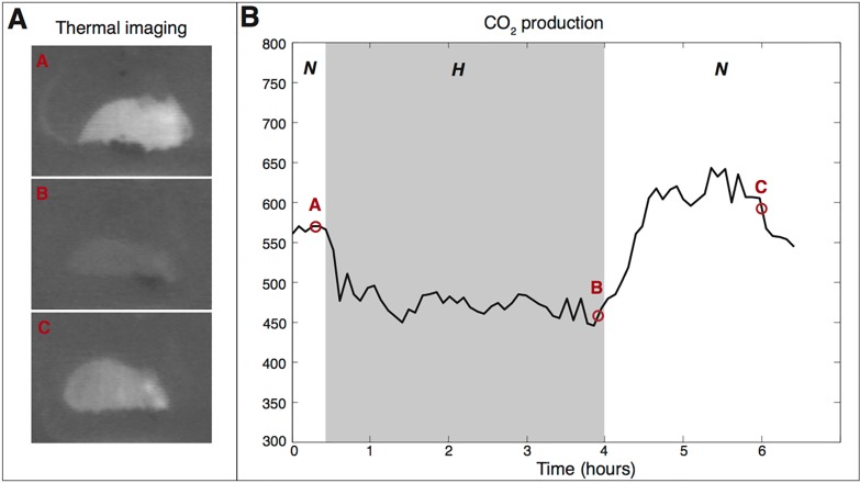 Figure 5.