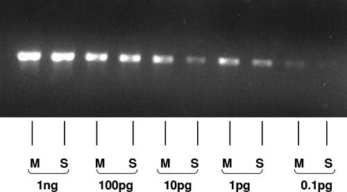 FIG. 1.