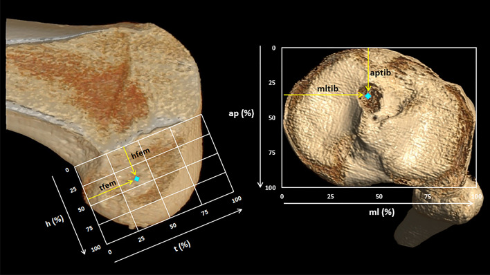 Fig. 1: