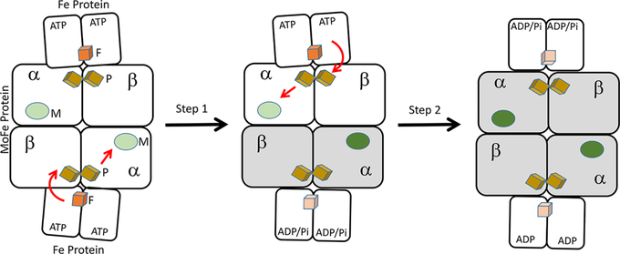 Figure 4.