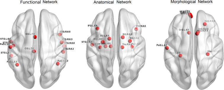 FIGURE 2