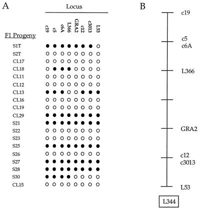 FIG. 6