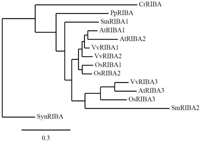 Figure 6