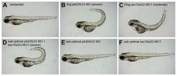 FIGURE 3