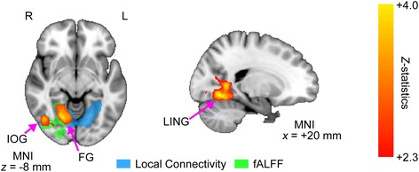 Fig. 3