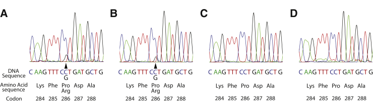 Figure 2