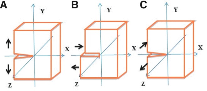 FIG. 2.