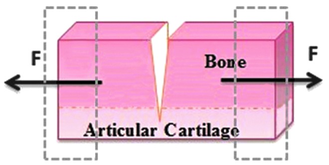 FIG. 3.