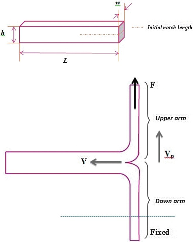 FIG. 7.