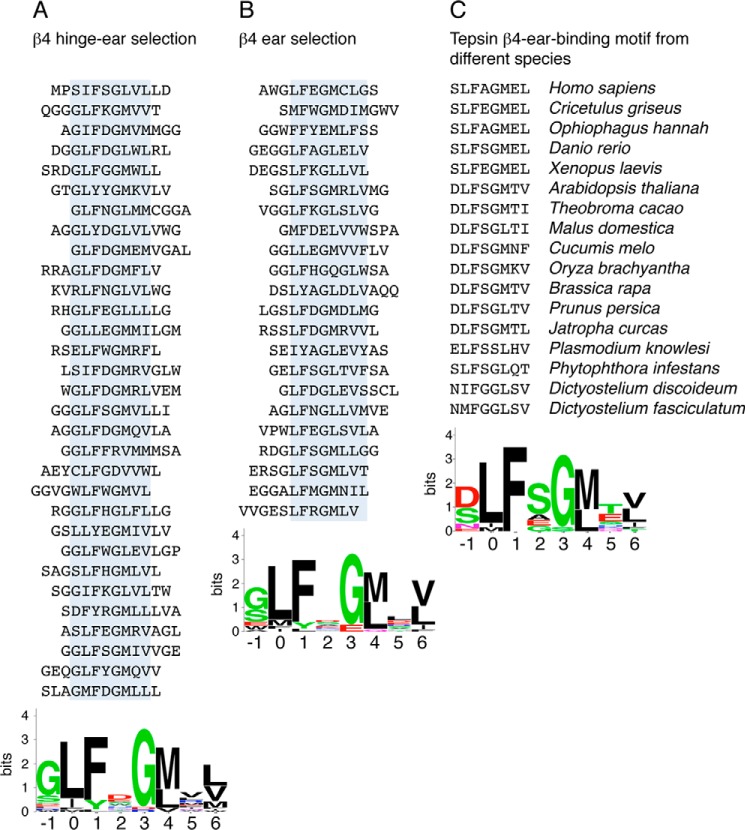 FIGURE 4.