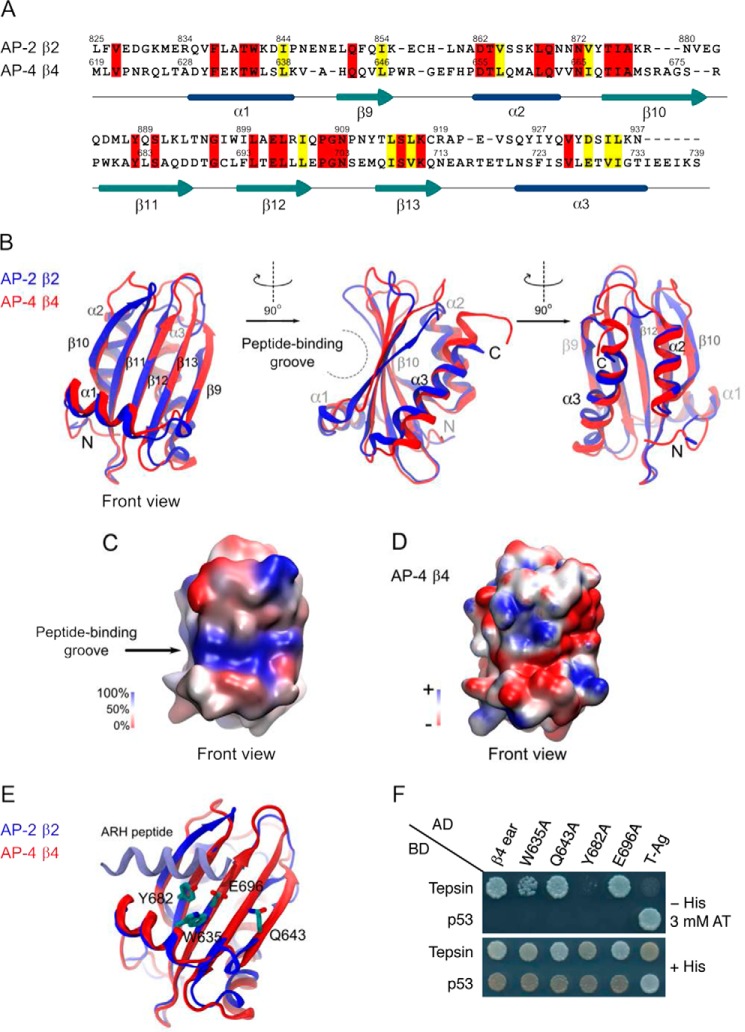 FIGURE 5.