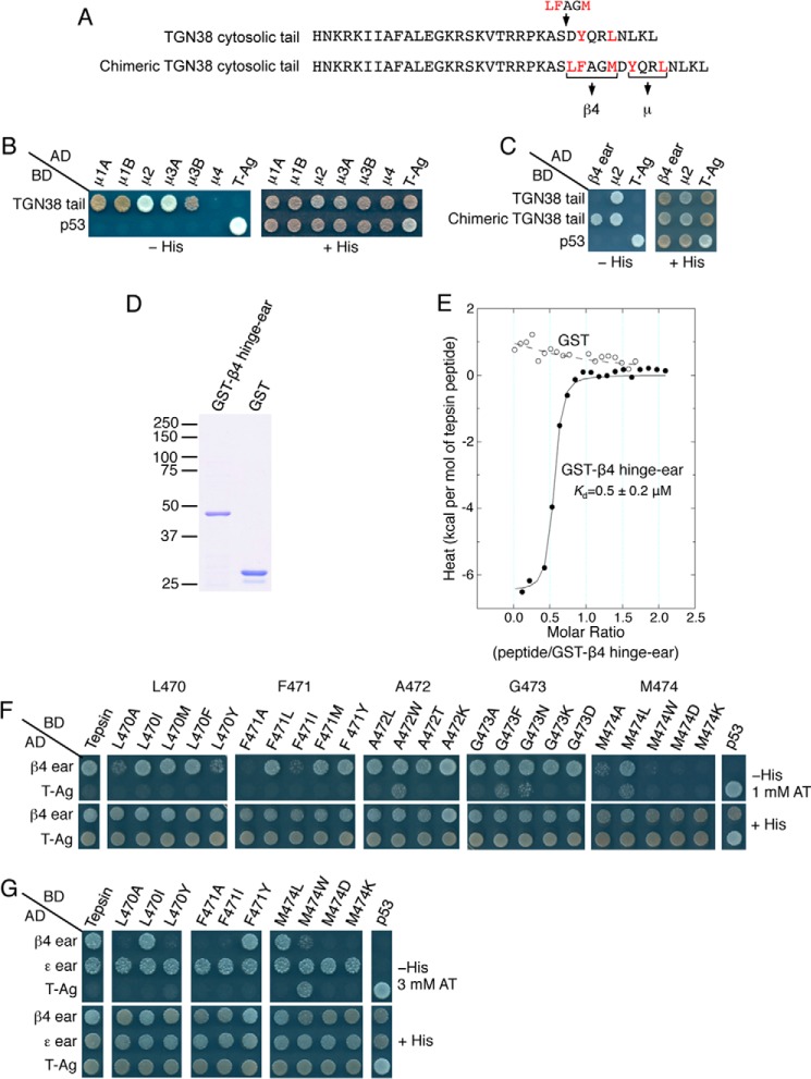 FIGURE 3.