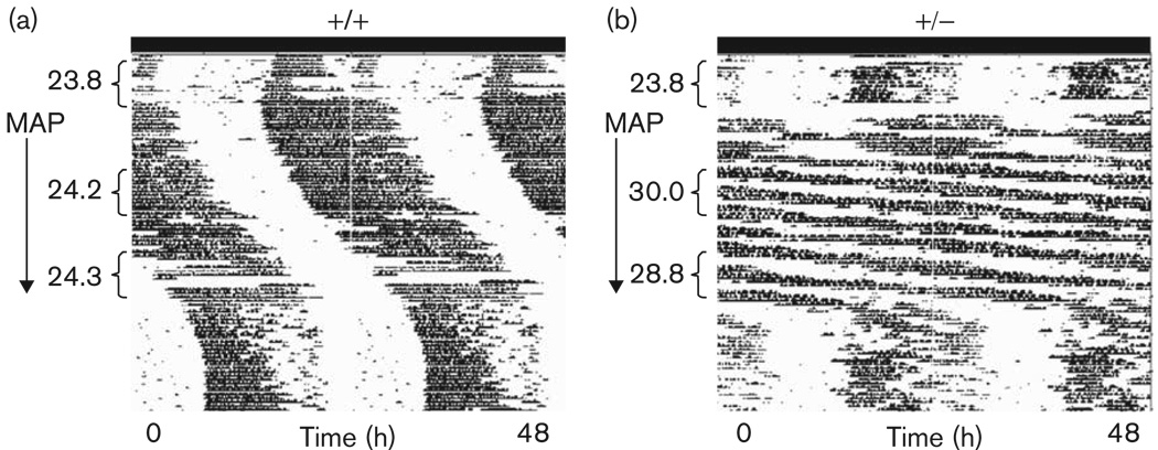 Fig. 8