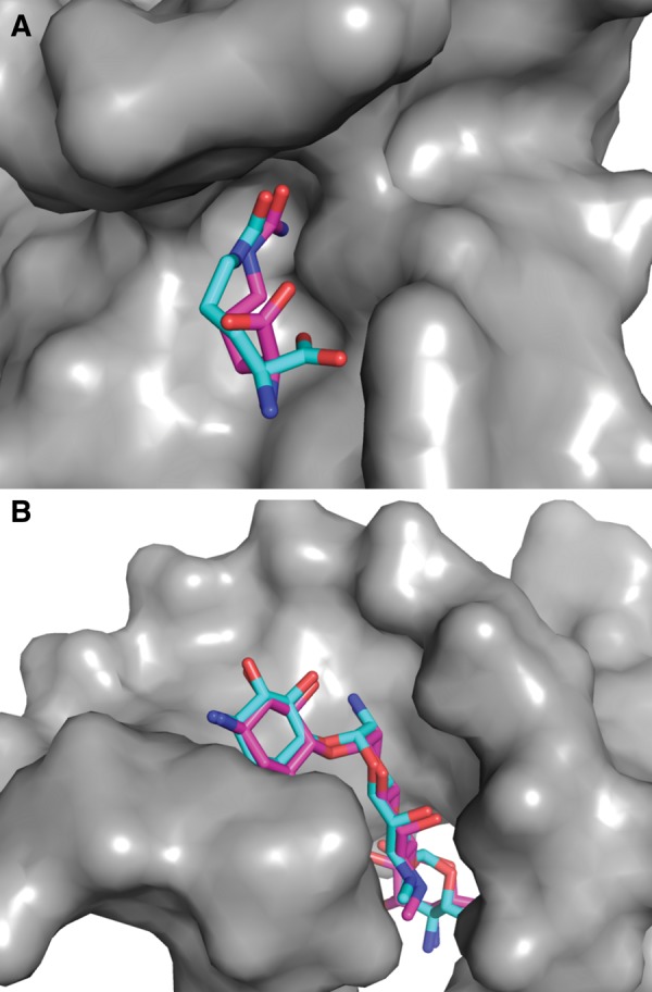 FIGURE 5.