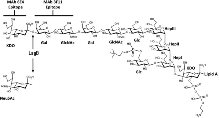 FIG 1 