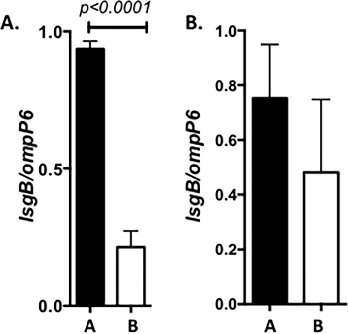 FIG 5  