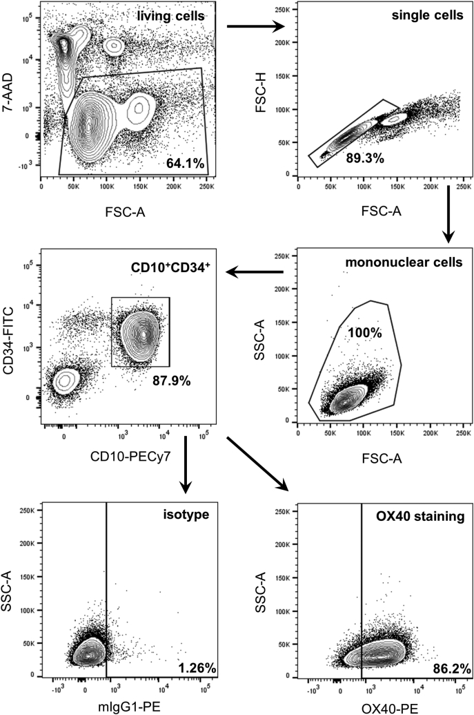 Supplementary Figure 1