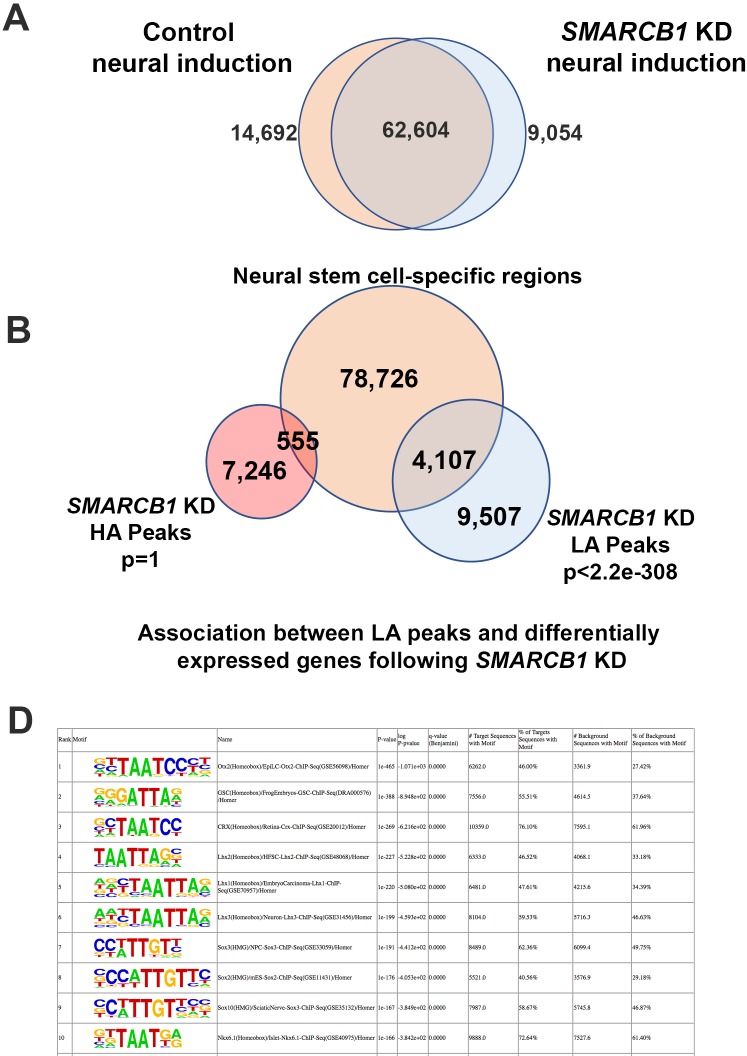 Figure 4—figure supplement 1.