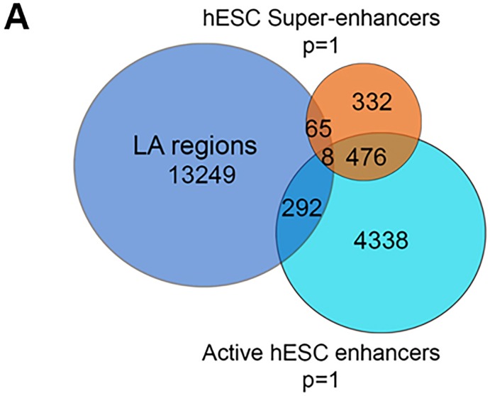 Figure 5—figure supplement 1.