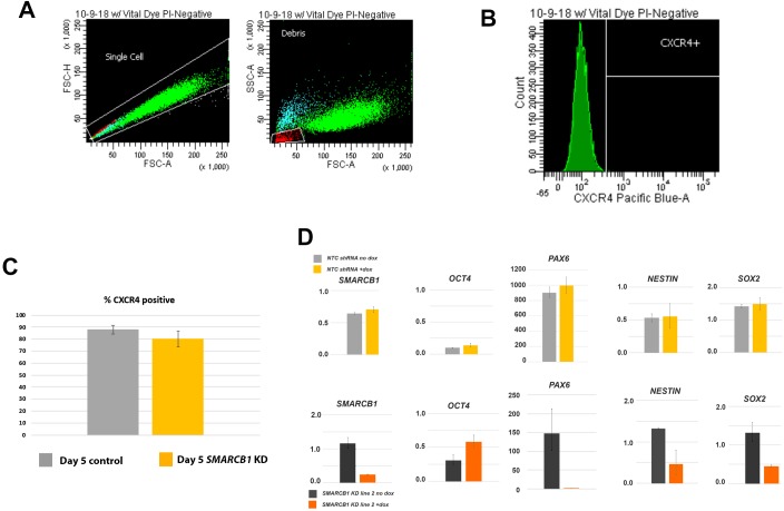 Figure 3—figure supplement 1.