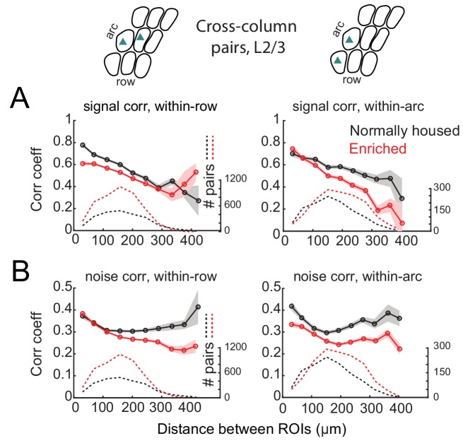 Figure 5—figure supplement 1.