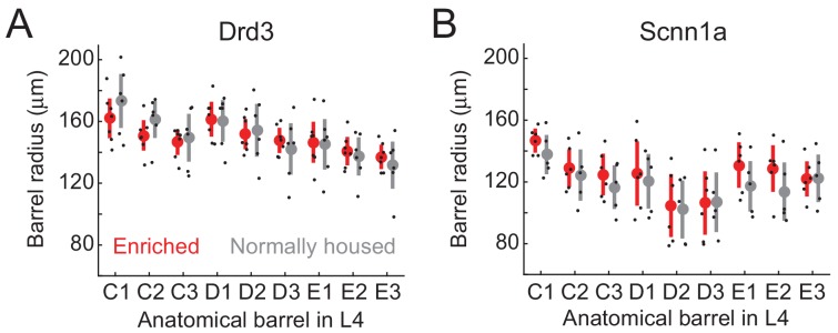 Figure 2—figure supplement 2.