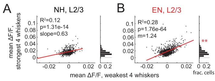 Figure 4—figure supplement 1.