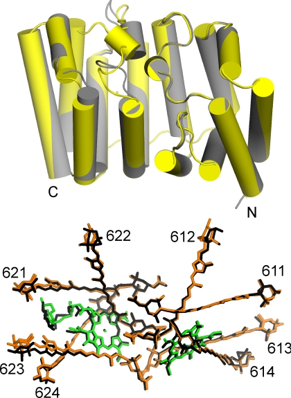 Fig. 2.